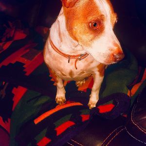 Meet your Posher, Letha